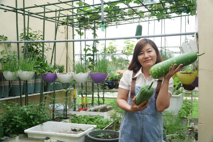 Gặp gỡ một chuyên gia Anh ngữ đam mê làm vườn - ở Quảng Nam, miền Trung Việt Nam  🇻🇳